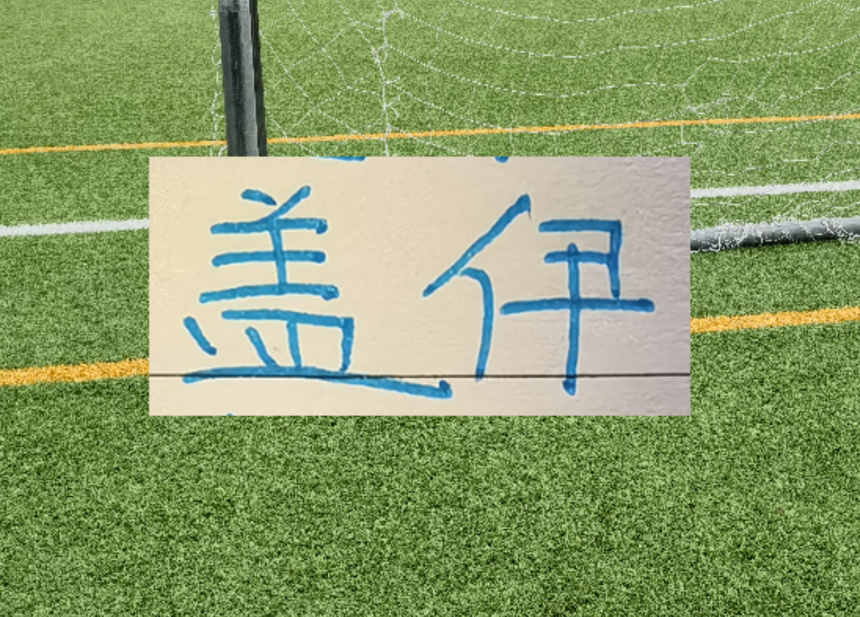 kaiyun-1米95的盖伊会像马莱莱一样 面对中超后卫都是降维打击吗